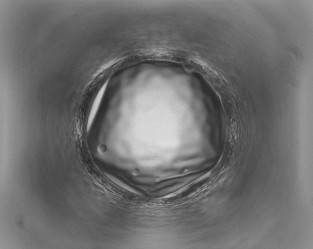 X0000115521206200911201652