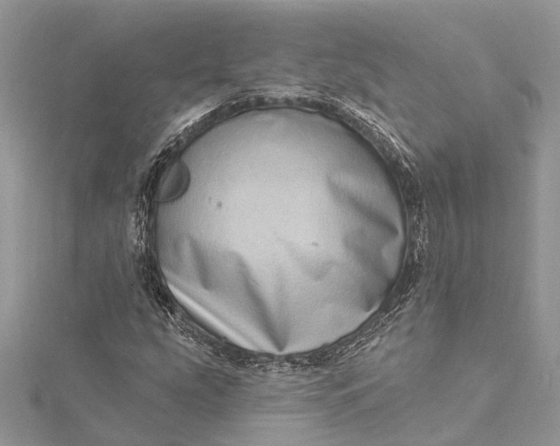 X0000115521207200911201652