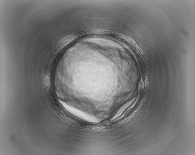 X0000115521209200911201652