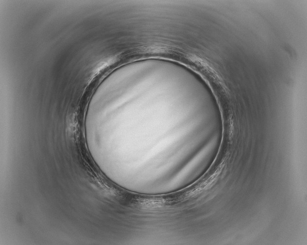 X0000115521210200911201652