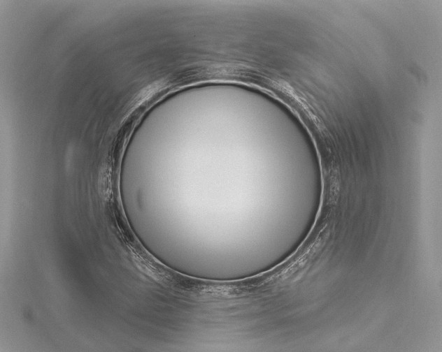 X0000115521211200911201652