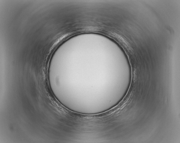 X0000115521212200911201652