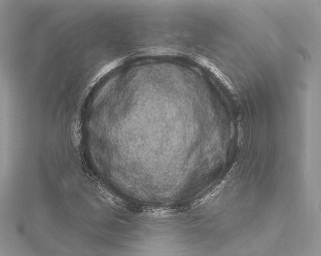 X0000115521213200911201652