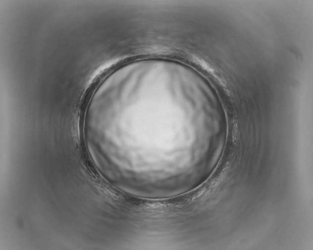 X0000115521214200911201652