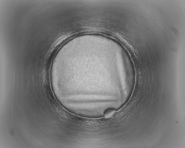 X0000115521215200911201652