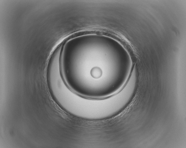 X0000115521216200911201652