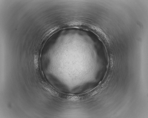 X0000115521217200911201652