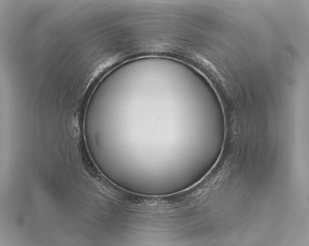 X0000115521218200911201652