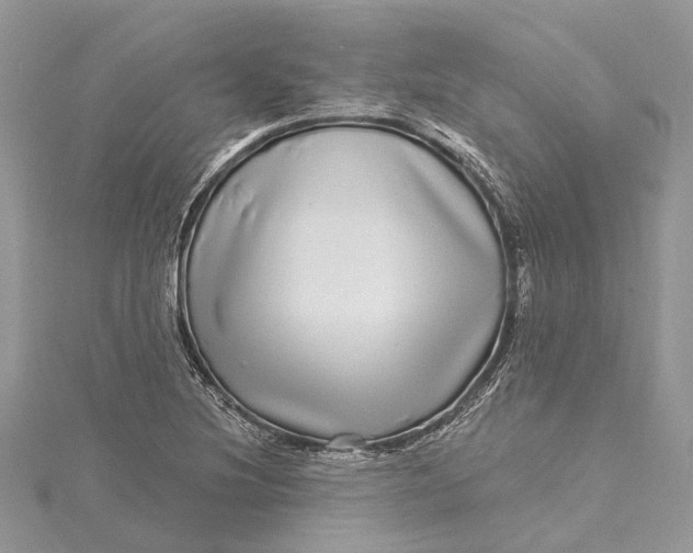 X0000115521220200911201652