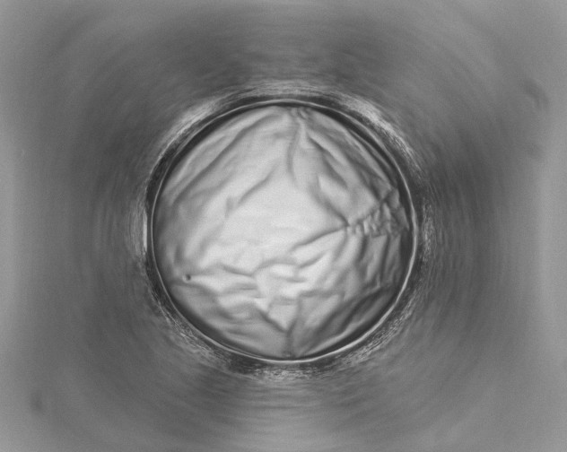 X0000115521221200911201652