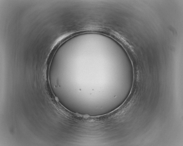 X0000115521222200911201652