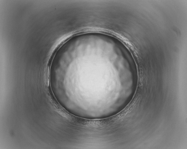 X0000115521223200911201652