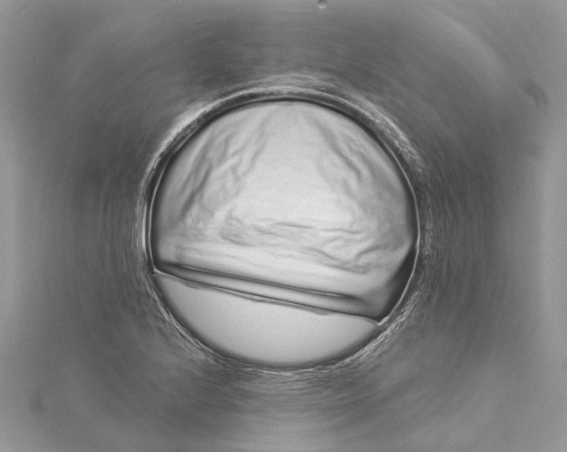 X0000115521224200911201652