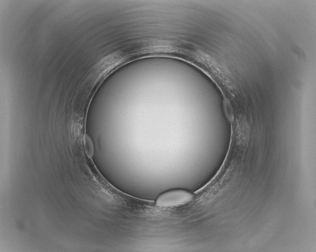 X0000115521225200911201652