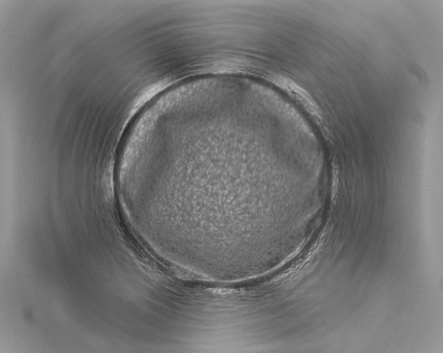 X0000115521226200911201652