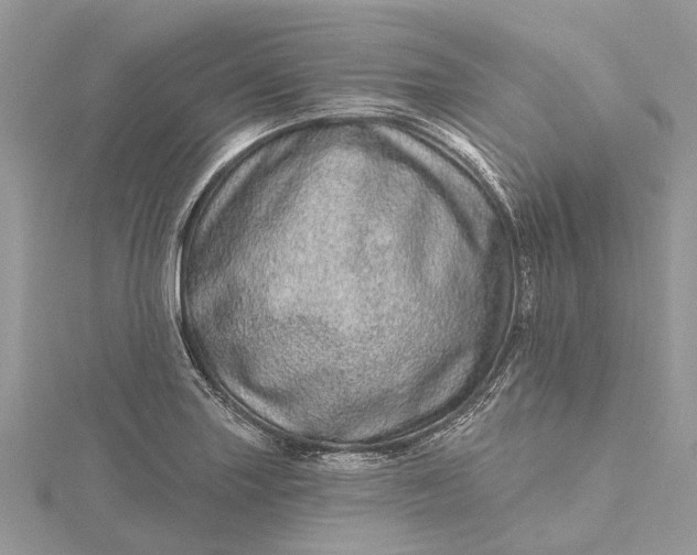 X0000115521227200911201652