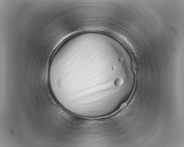 X0000115521228200911201652