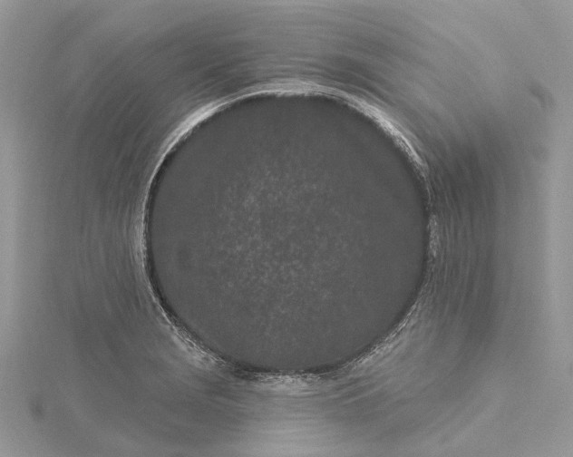 X0000115521229200911201652