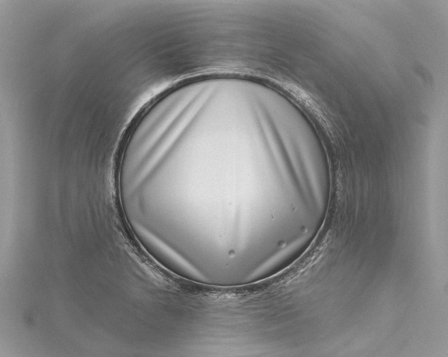 X0000115521230200911201652