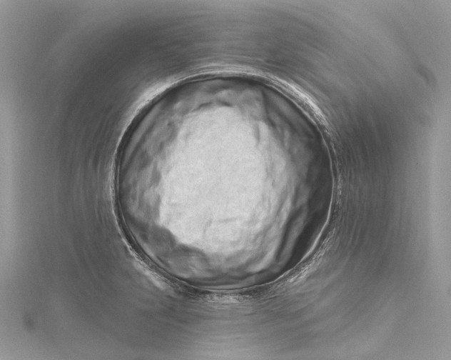 X0000115521231200911201652