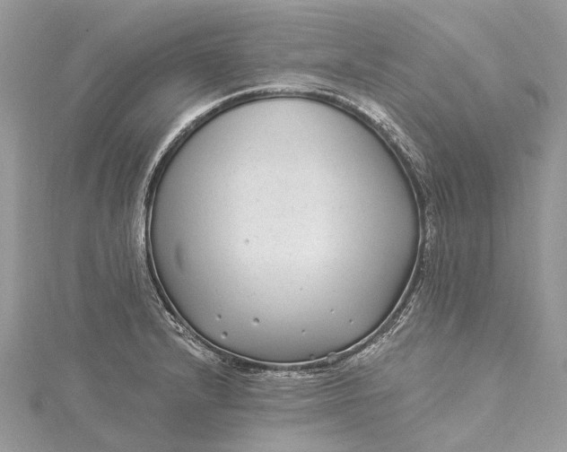 X0000115521232200911201652