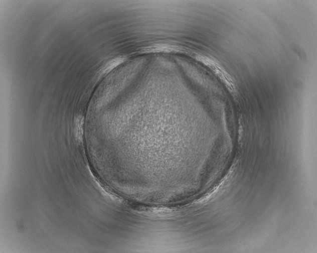 X0000115521233200911201652