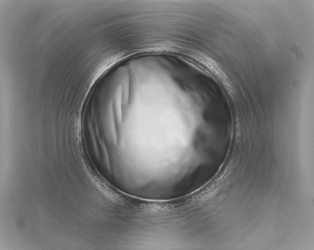 X0000115521234200911201652