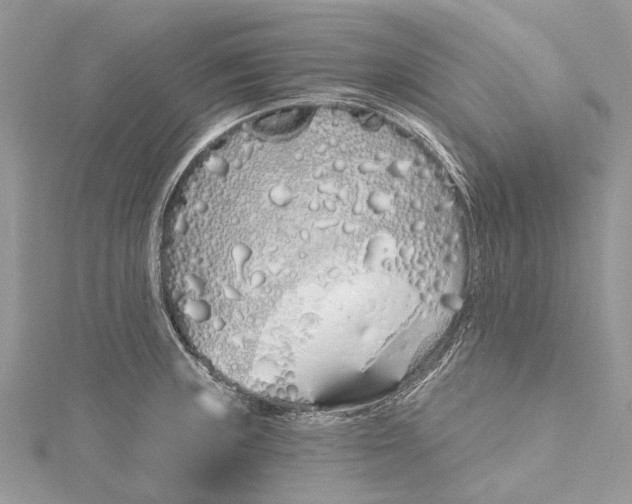 X0000115521235200911201652