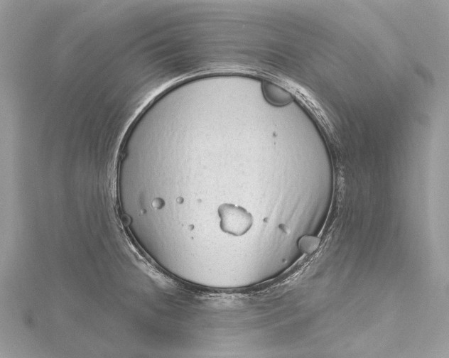 X0000115521236200911201652