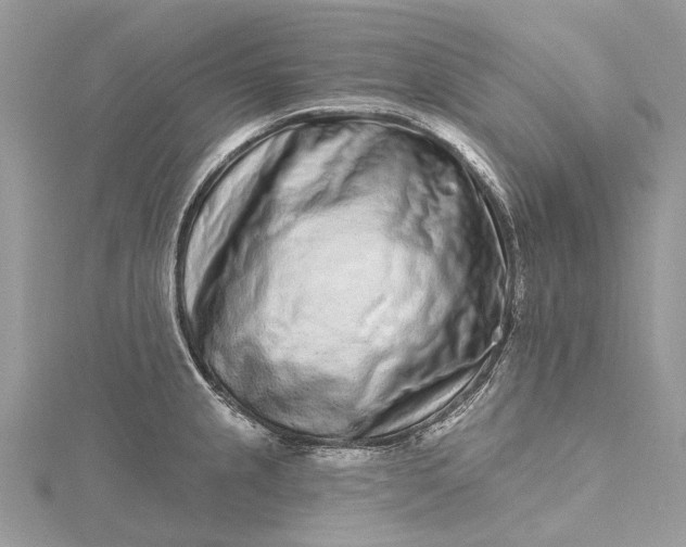 X0000115521237200911201652