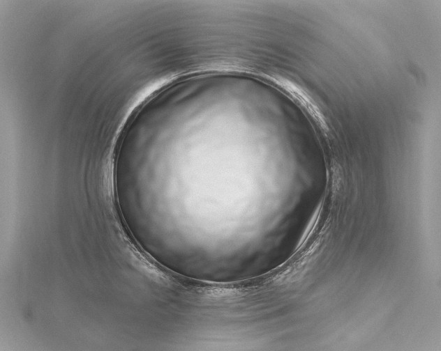 X0000115521238200911201652