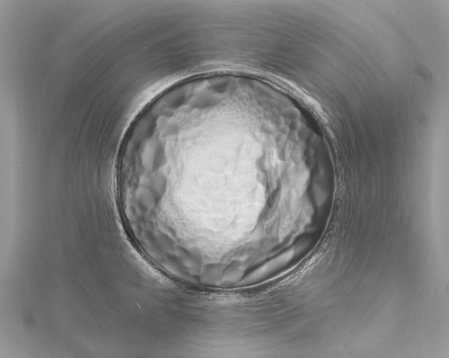 X0000115521239200911201652