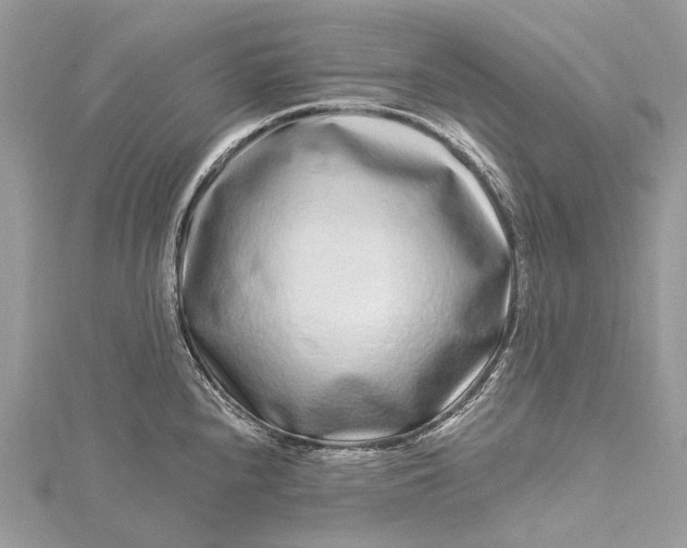 X0000115521240200911201652