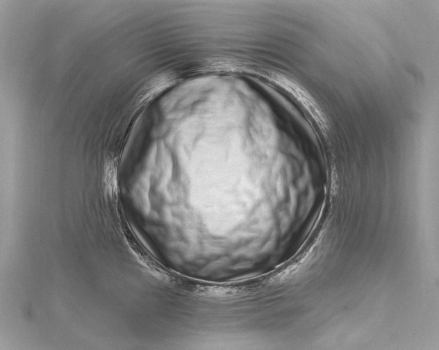 X0000115521241200911201652