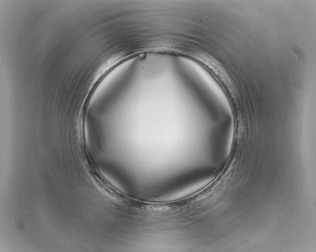 X0000115521242200911201652