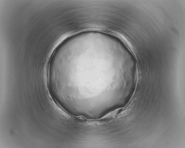 X0000115521243200911201652