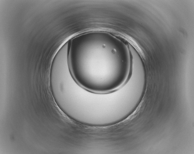 X0000115521244200911201652