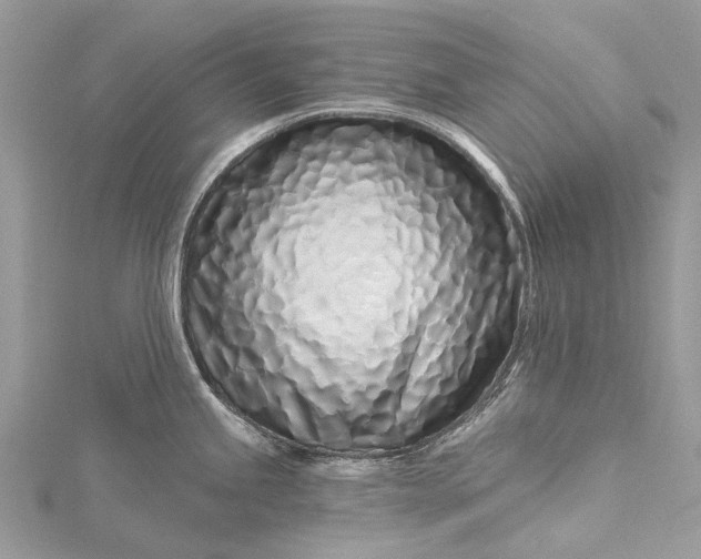 X0000115521245200911201652