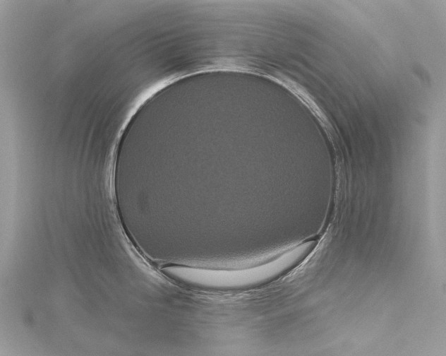 X0000115521246200911201652