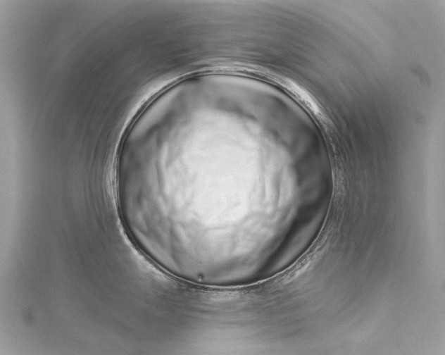 X0000115521247200911201652