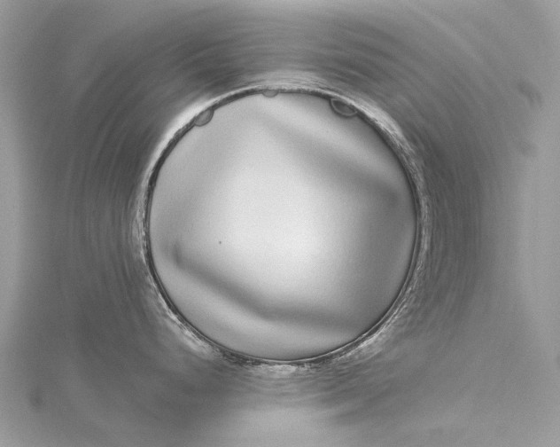 X0000115521248200911201652