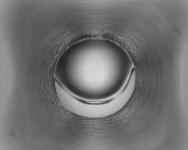 X0000115521249200911201652