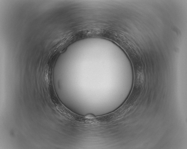 X0000115521250200911201652