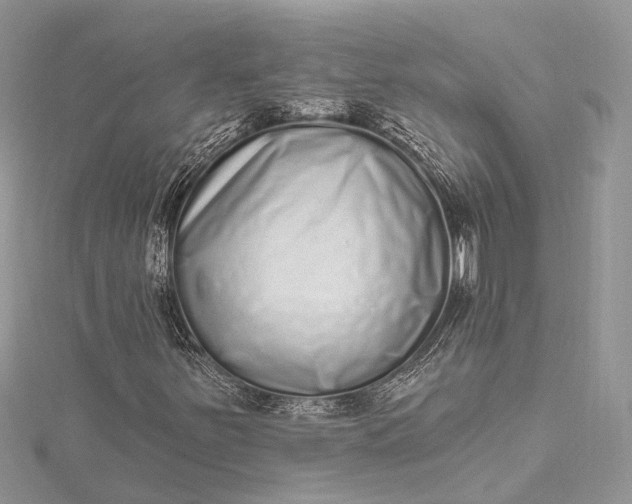 X0000115521251200911201652