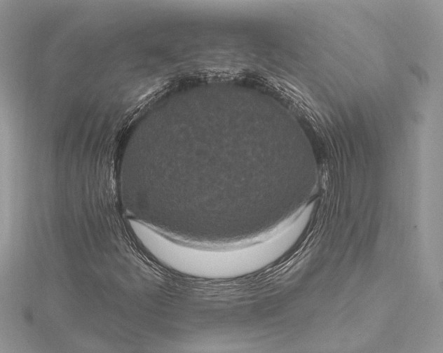 X0000115521252200911201652