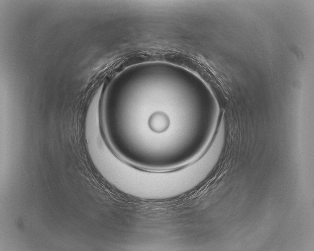 X0000115521253200911201652