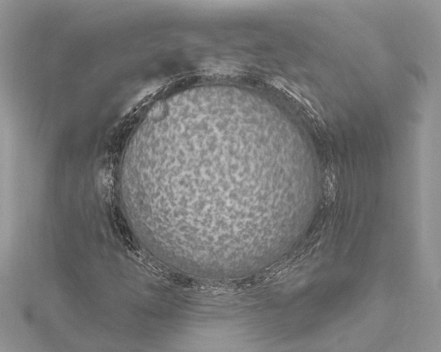 X0000115521254200911201652