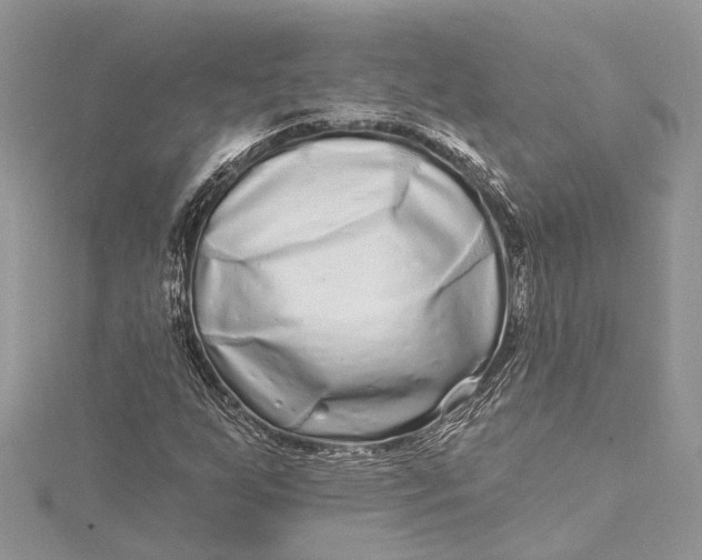 X0000115521255200911201652