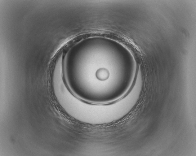 X0000115521256200911201652