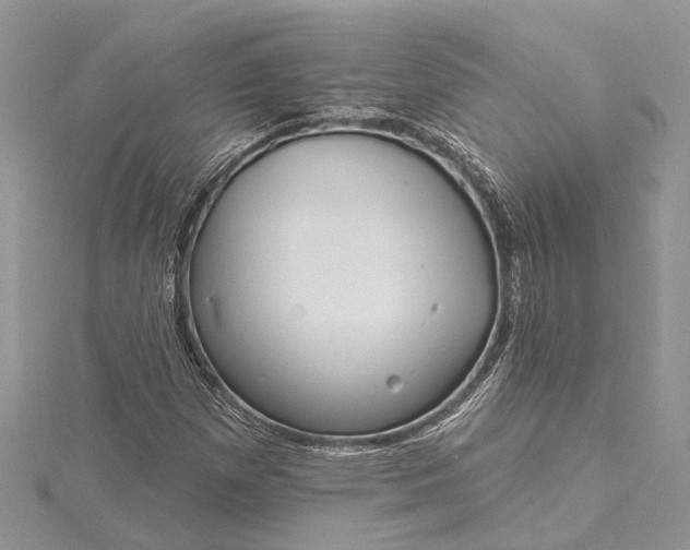 X0000115521257200911201652